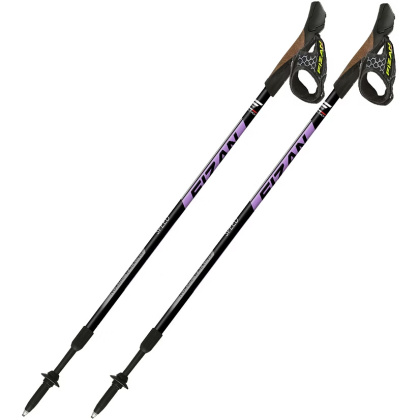 Kije Nordic Walking FIZAN SPEED fiolet
