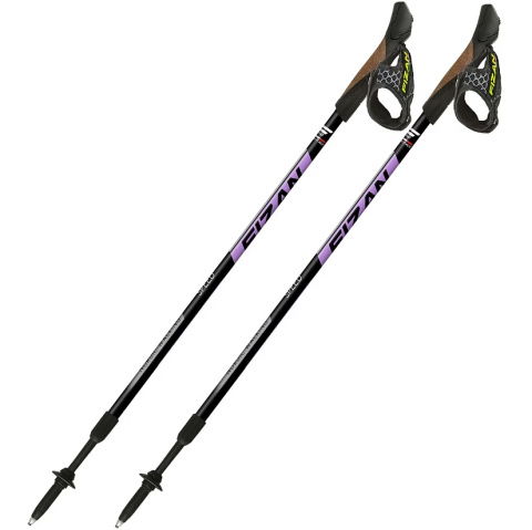 Kije Nordic Walking FIZAN SPEED fiolet Kije Nordic Walking FIZAN SPEED fiolet