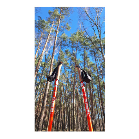 Kije Nordic Walking GABEL X 1.35 ACTIVE Orange Kije Nordic Walking GABEL X 1.35 ACTIVE Orange
