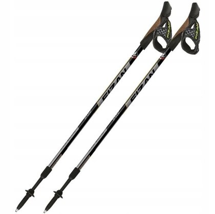 Kije Nordic Walking FIZAN SPEED czarne
