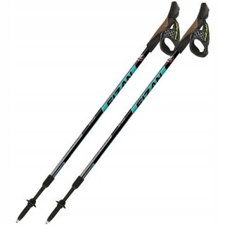 Kije Nordic Walking FIZAN SPEED morskie